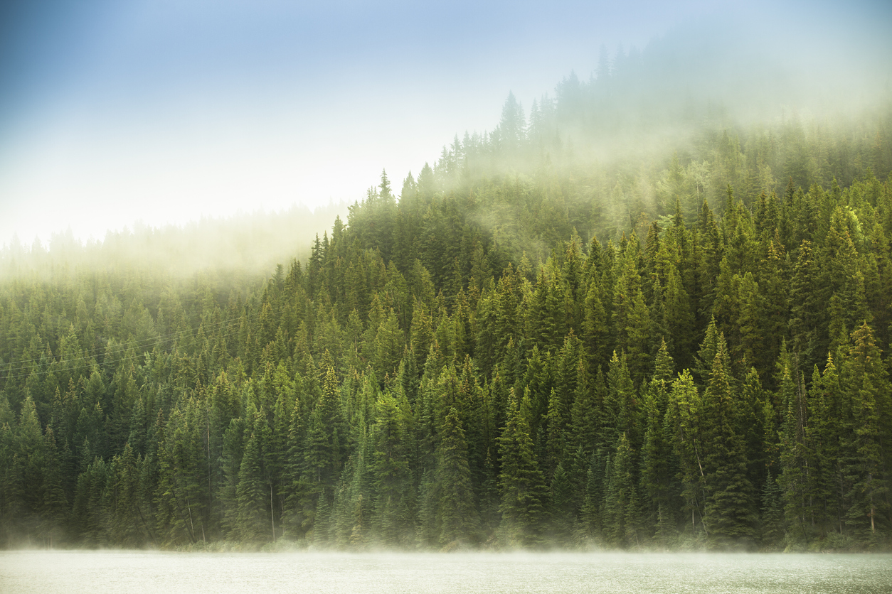 Contact Yellowstone Industries