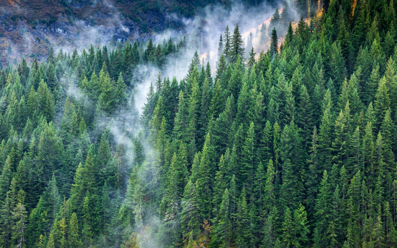 Yellowstone Industries Ethical & value driven industry leading solutions.